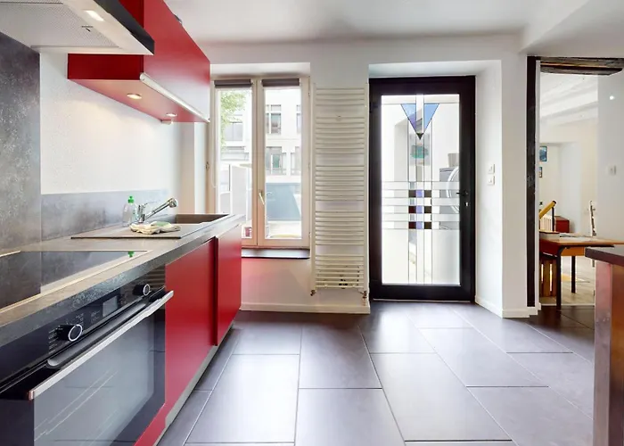 Le Roesselmann 1 Parking 公寓 科尔马